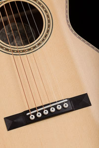 Collings Parlor Deluxe T 12-Fret Acoustic Guitar