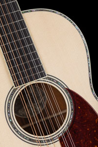 Collings 041 Cocobolo G 12-String