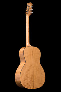 Collings C10 Maple – Torrefied