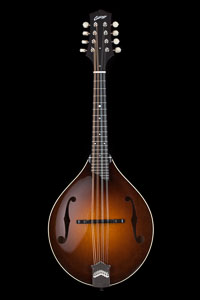 Collings MT Mandolin with Torrefied Sitka Spruce Top