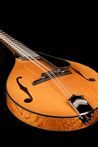 Collings MT2 V Mandolin in Birdseye Maple