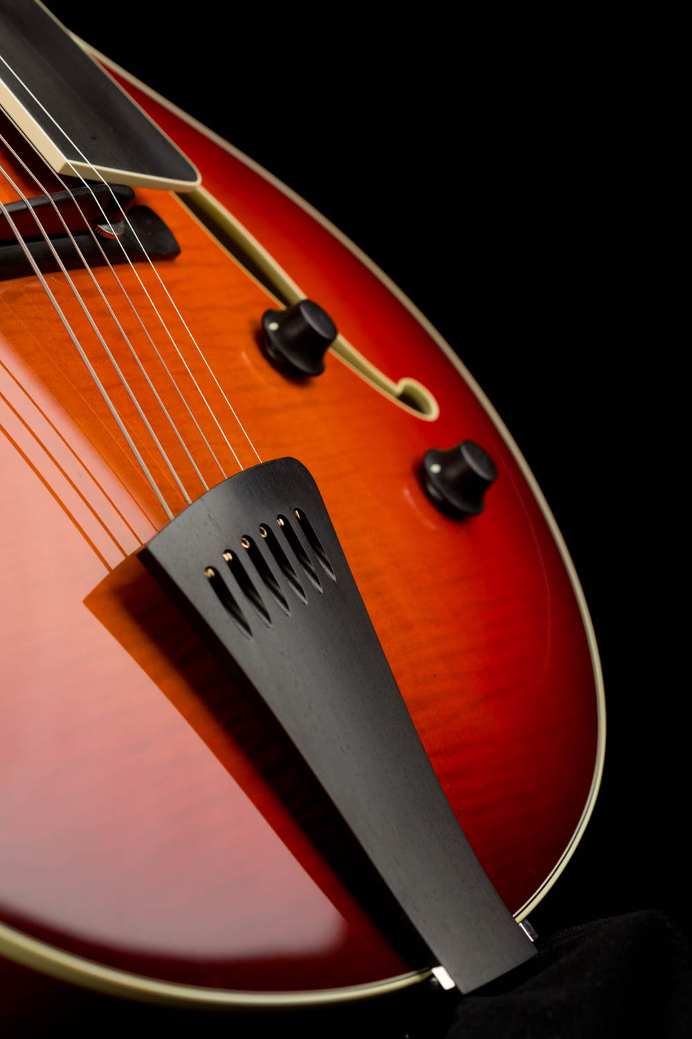 Collings Eastside Deluxe LC | Hollow Body Archtop Electric Jazz Guitar