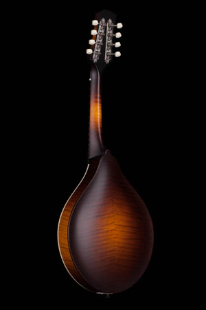 Collings MT A-style Mandolin