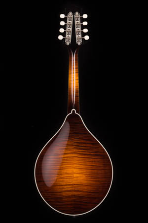 Collings MT2 Full Gloss A-style Mandolin